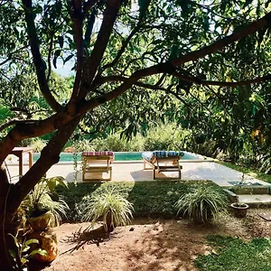  Homestay Shan Mango Sri Lanka